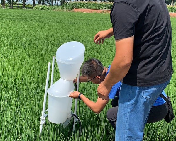 葫芦岛销售圆粒香大米价格