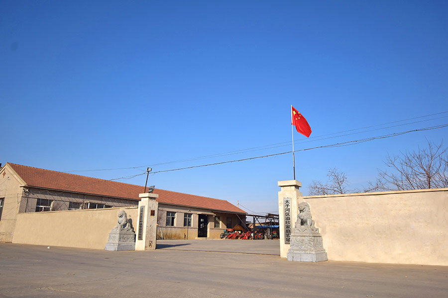 四平批发富硒锌大米价格