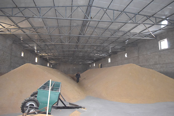 吉林生产绿色富硒大米厂